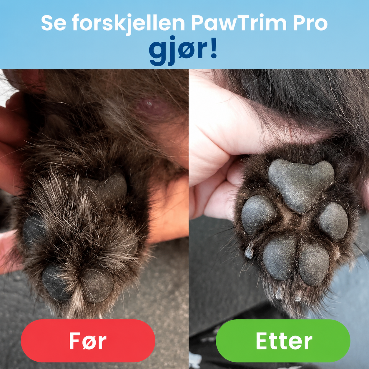 Pawsense Presis potetrimmer for hund